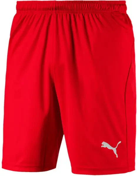 Puma Liga Core Shorts - Red - 9-10Y (End of Line)