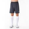 Joma Nobel Shorts - Anthracite