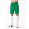 Joma Nobel Shorts - Green