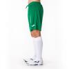 Joma Nobel Shorts - Green