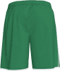 20191113-135041-101324-verde-back-Photoroom.png