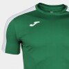 Joma Academy III S/S T-Shirt- Green / White