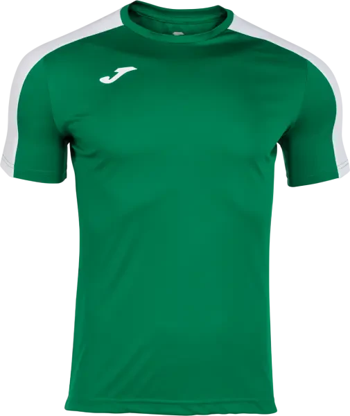 Joma Academy III T-Shirt- Green / White