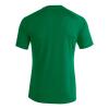 Joma Pisa II Shirt - Green / Black