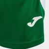 Joma Glasgow Shorts - Green / White