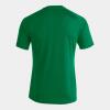 Joma Pisa II Shirt - Green / White