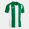 Joma Pisa II Shirt - Green / White