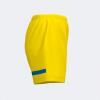 Joma Tokio Women's Shorts - Yellow / Royal