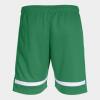 Joma Tokio Shorts - Green / White