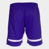 Joma Tokio Shorts - Violet / White