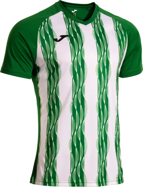 Joma Inter V Shirt - Green / White