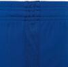 Macron Acrux Hero Women's Shorts - Royal