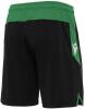 Macron Tempel Shorts - Black / Green