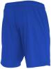 Macron Mesa Hero Shorts - Royal