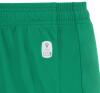 Macron Skara Eco Shorts - Green