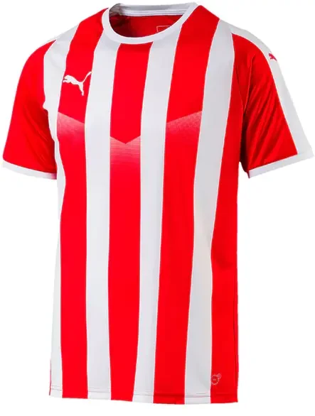 Puma Liga Striped Jersey - Red / White - Age 11-12Y (End of Line)