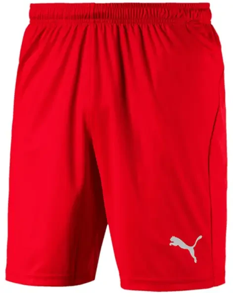 Puma Liga Core shorts - Red - Medium (end of line)