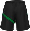 Macron Shen Eco Shorts - Black / Green