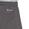 Adidas Entrada 22 Shorts - Team Grey Four
