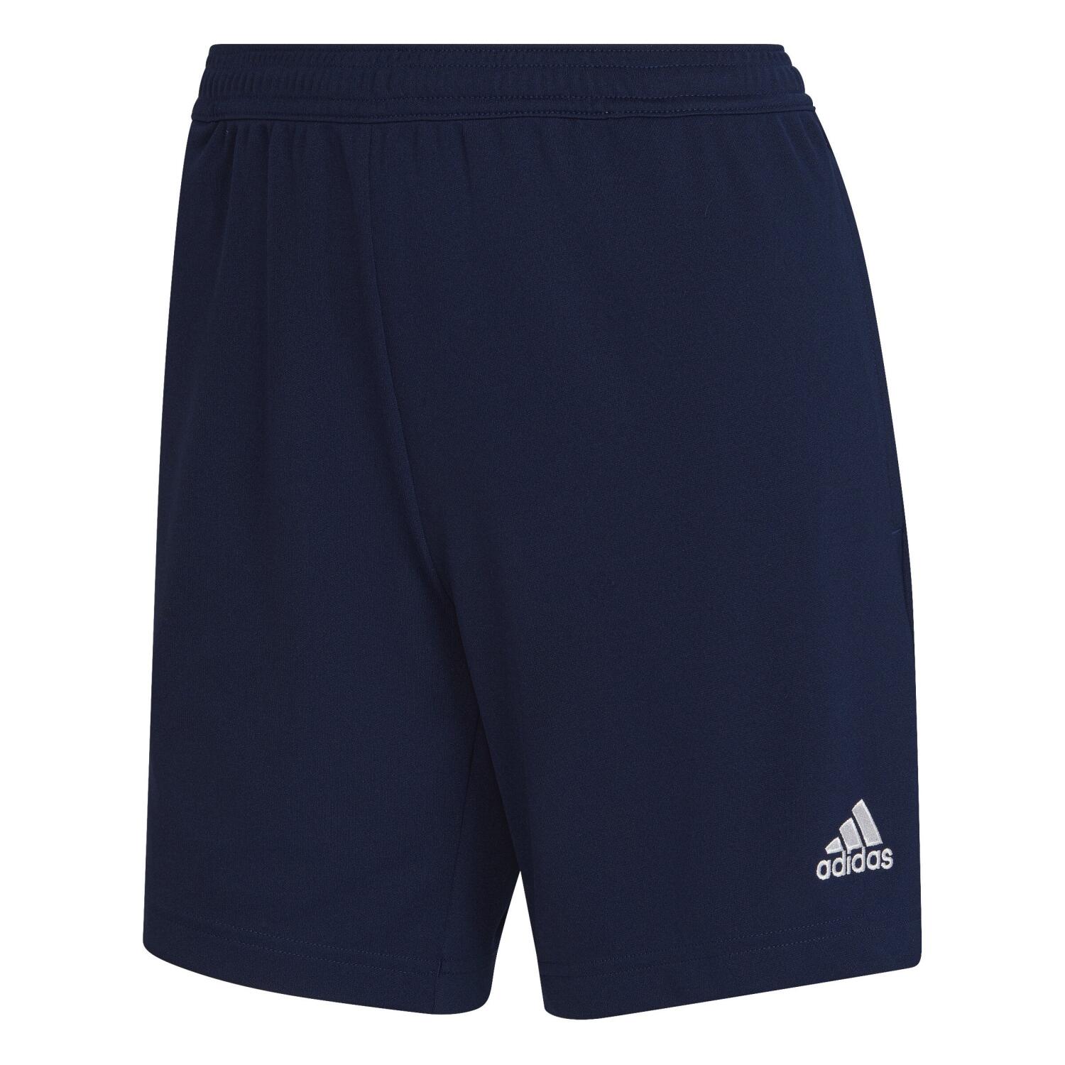 Adidas football hotsell training shorts