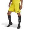 Adidas Tiro 23 League Shorts - Team Yellow / Black