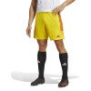 Adidas Tiro 23 League Shorts - Team Yellow / Team Colleg Red