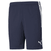Chelmsford College Sports Course Shorts
