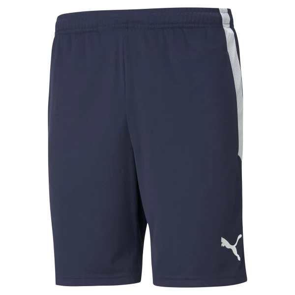 Billericay Town FC Academy Training Shorts