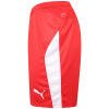 Puma Team Liga Shorts - Red/White