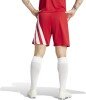 Adidas Fortore 23 Shorts - Team Power Red 2 / White