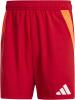 Adidas Tiro 24 Competition Match Shorts - Team Power Red 2 / APP Solar Red