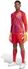 Adidas Tiro 24 Competition Goalkeeper Jersey - Red