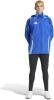 Adidas Tiro 24 Competition All Weather Jacket - Team Royal Blue