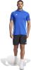 Adidas Tiro 24 Competition Polo Shirt - Team Royal Blue