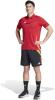 Adidas Tiro 24 Competition Downtime Shorts - Black / App Solar Red