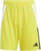 Adidas Tiro 24 Shorts - Team Yellow / Black