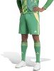 Adidas Tiro 24 Goalkeeper Shorts - Team Green / Semi Spark