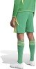 Adidas Tiro 24 Goalkeeper Shorts - Team Green / Semi Spark