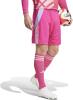 Adidas Tiro 24 Goalkeeper Shorts - Team Real Magenta / Wonder Quartz