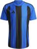 Adidas Striped 24 Jersey - Team Royal Blue / Black