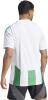 Adidas Striped 24 Jersey - White / Team Green