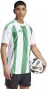 Adidas Striped 24 Jersey - White / Team Green