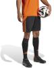 Adidas Tiro 24 Shorts - Black / Team Orange