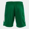 Joma Glasgow Shorts - Green / White