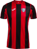 Kesgrave Kestrels FC Away Shirt 2024