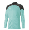 Puma Team Cup Training Jacket - 2023 - Electric Peppermint / Puma Black