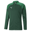 Puma Team Cup Training Jacket - 2023 - Pepper Green