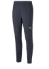 Puma Team Cup Training Pants 2023 - Parisian Night