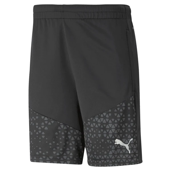 Puma Team Cup Training Shorts 2023 - Black