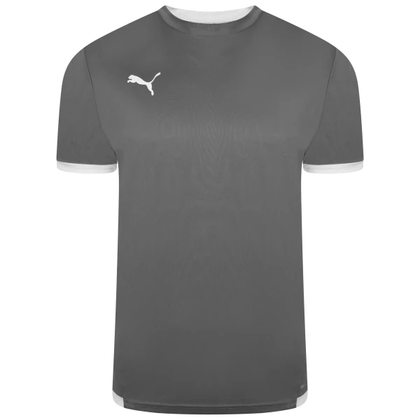 Puma teamLIGA Jersey - Smoked Pearl